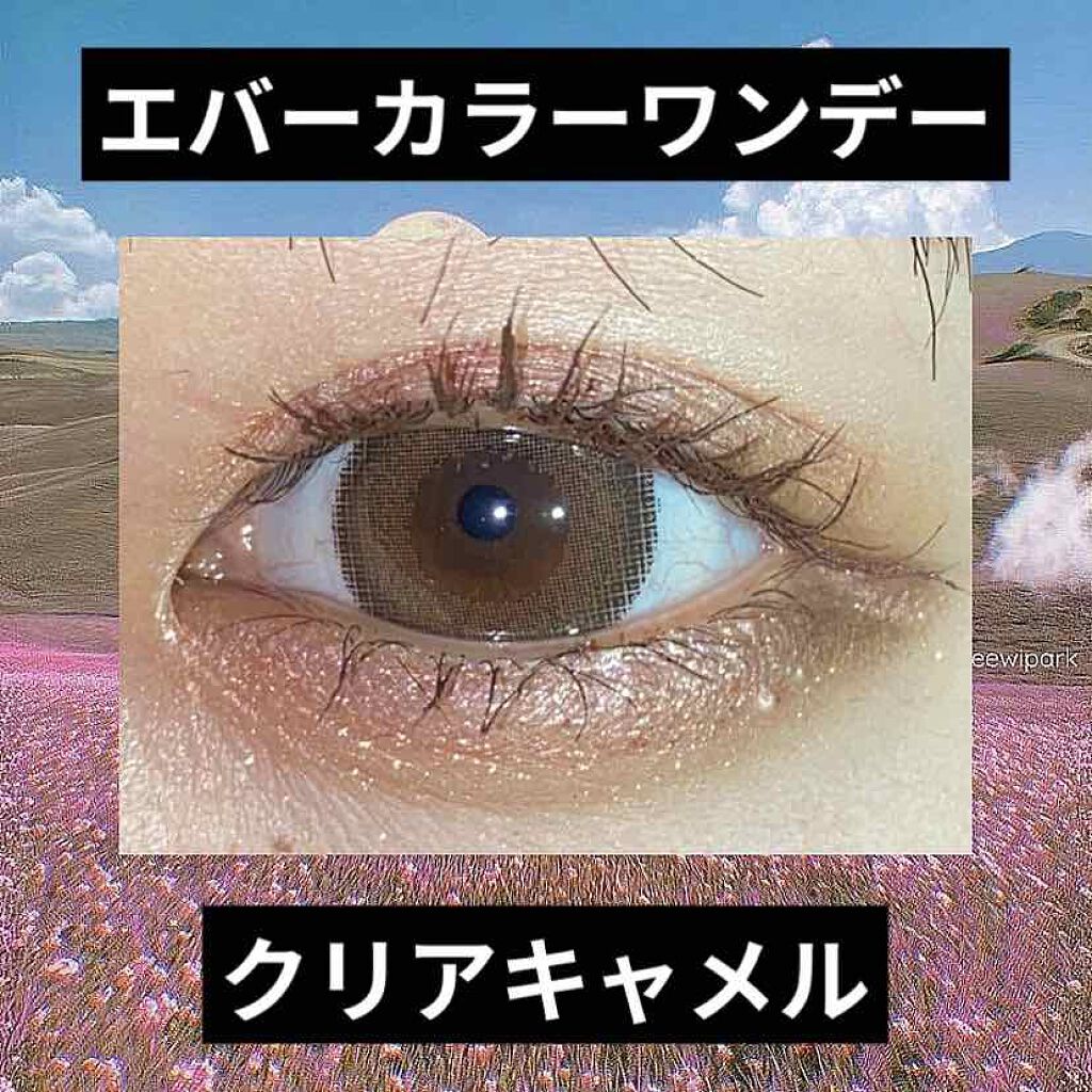 エバーカラーワンデー ナチュラル/エバーカラー/ワンデー（１DAY）カラコンを使ったクチコミ（1枚目）