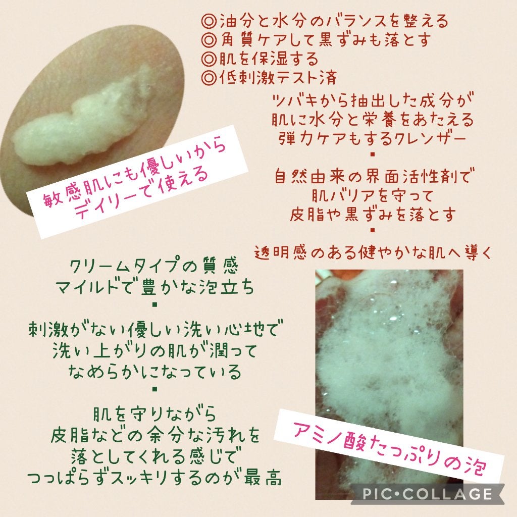 済州ツバキマイルドフォームクレンザー/Neulii/洗顔フォームを使ったクチコミ(2枚目)