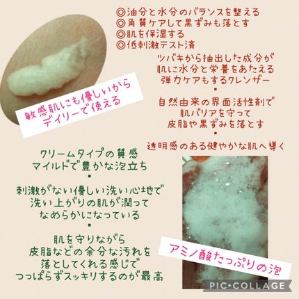 済州ツバキマイルドフォームクレンザー/Neulii/洗顔フォームを使ったクチコミ(2枚目)