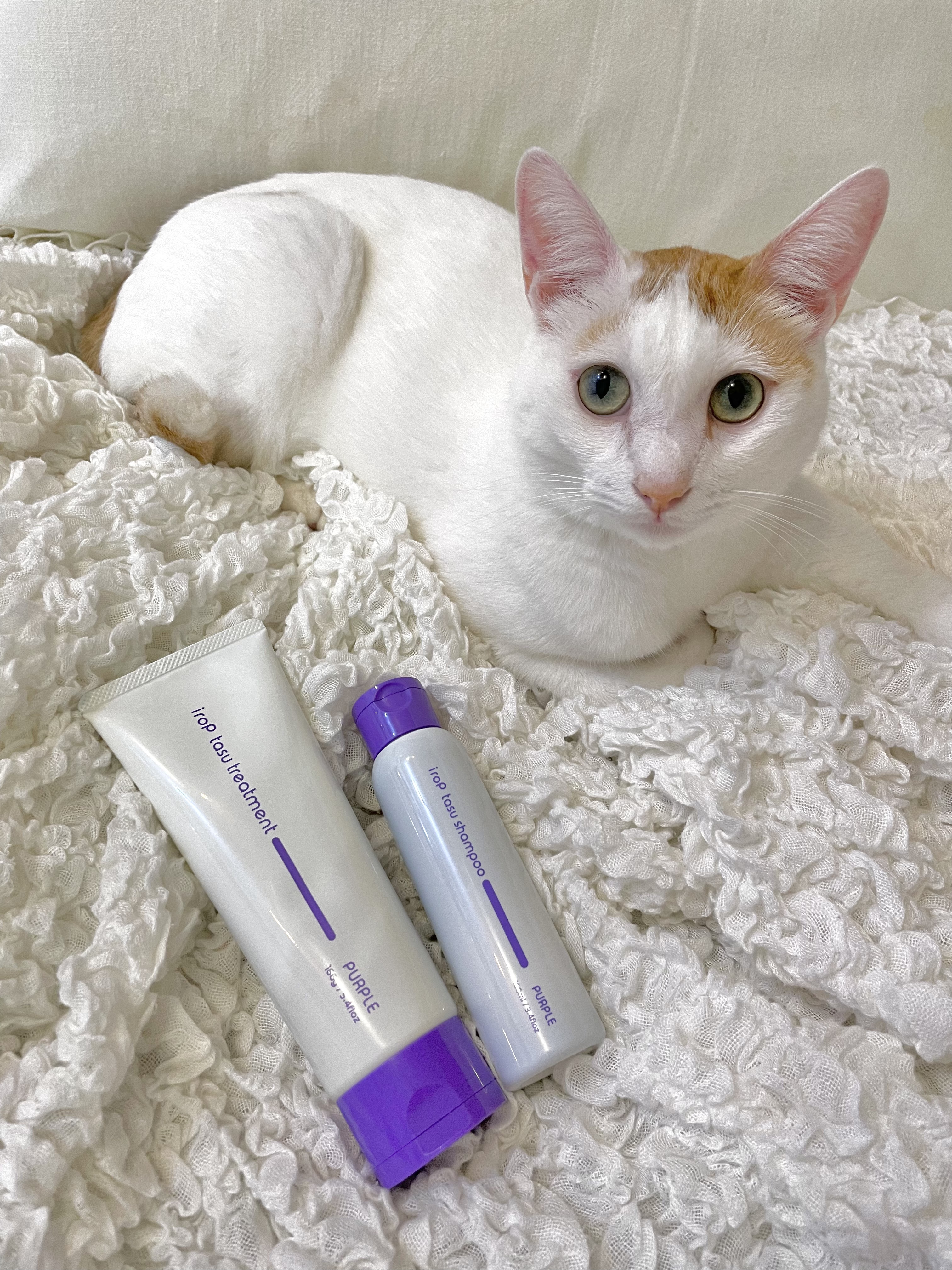 イロップ タス シャンプー/トリートメント トリートメント／ PURPLE（パープル）/irop/市販シャンプーを使ったクチコミ（1枚目）