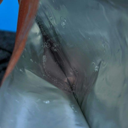 美容の旅人 on LIPS 「チャアンドパクレッドプロポリスアンプルマスクアンチエイジングだ..」(4枚目)