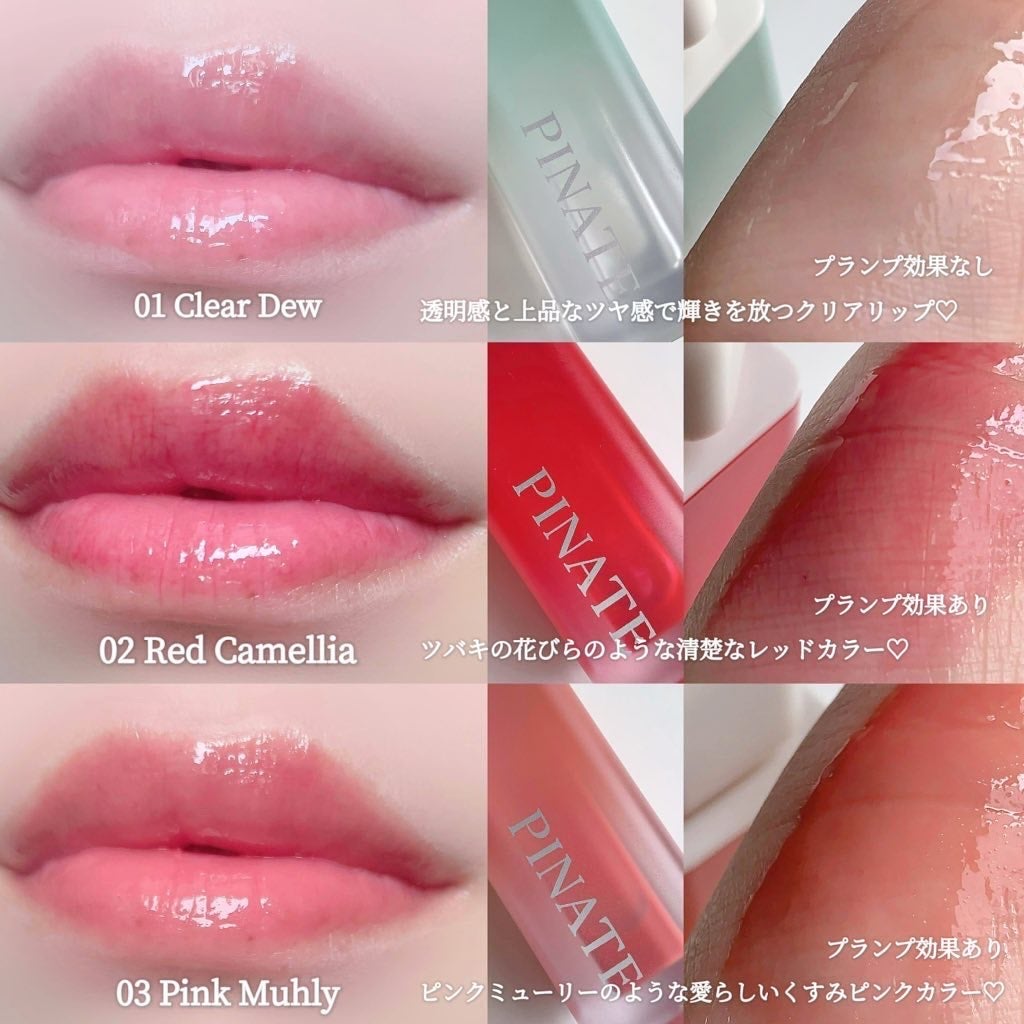 ナチュラルブルームリップオイルセラム 3色セット/PINATE/リップグロスを使ったクチコミ(6枚目)