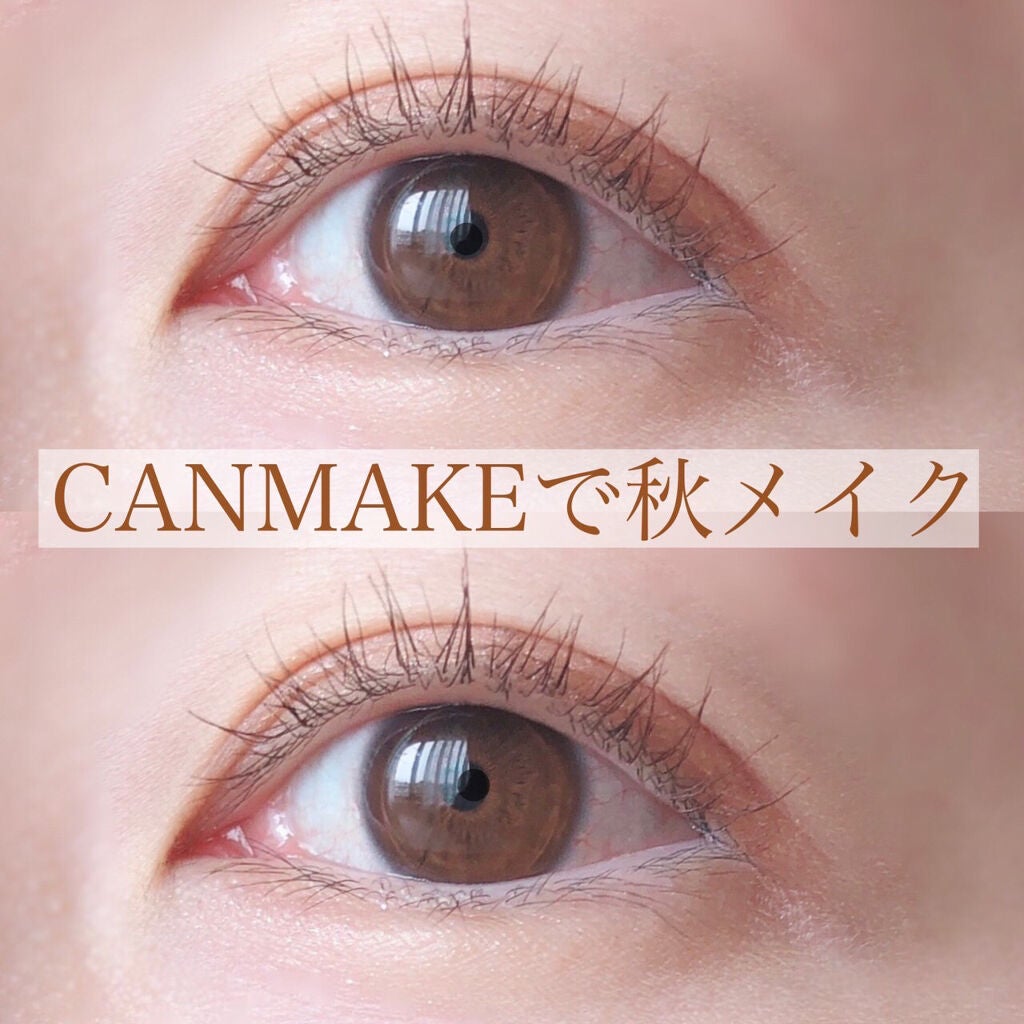 パーフェクトスタイリストアイズ/キャンメイク/アイシャドウパレットを使ったクチコミ(1枚目)