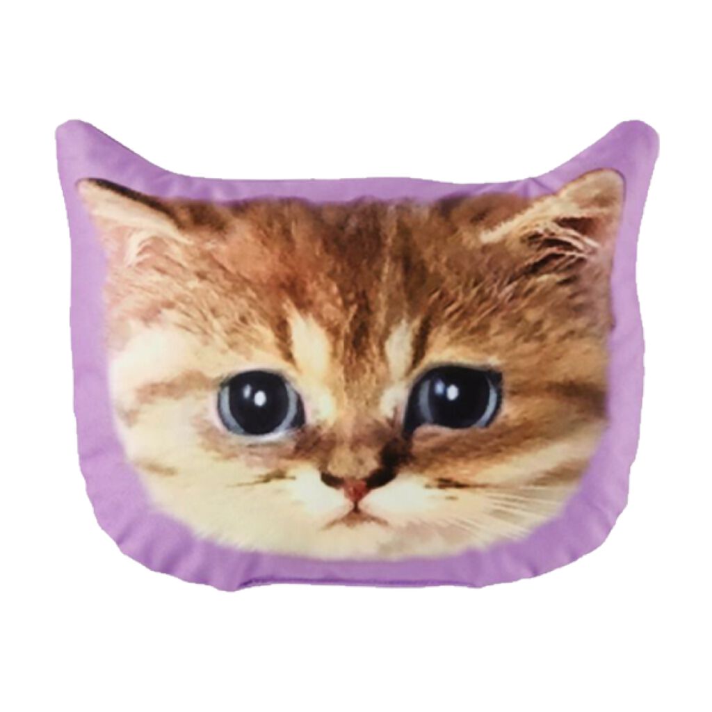 リップスティック CS/PAUL & JOE BEAUTE/口紅を使ったクチコミ(4枚目)