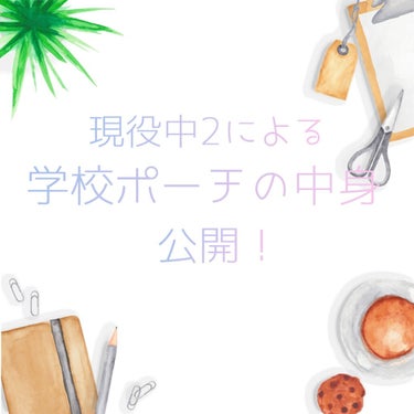 こんにちはー(,,･ω･,,)

今回は私の学校ポーチの中身を紹介します！リクエストありがとうございます！スクールメイクはまた追々紹介します！<(_ _*)>

どれも全部必需品です！（*｀・ω・*）ゞ