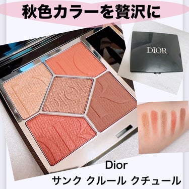 ディオールショウ サンク クルール/Dior/アイシャドウを使ったクチコミ（1枚目）