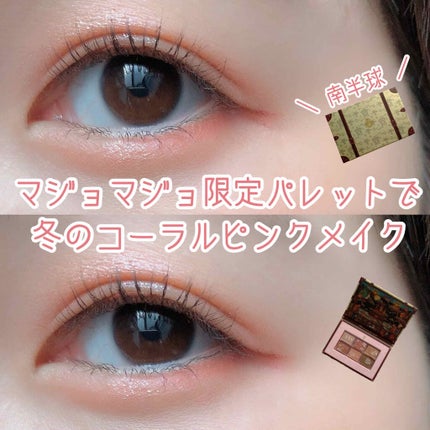ナイストゥミーチュートランク/MAJOLICA MAJORCA/アイシャドウパレットを使ったクチコミ(1枚目)