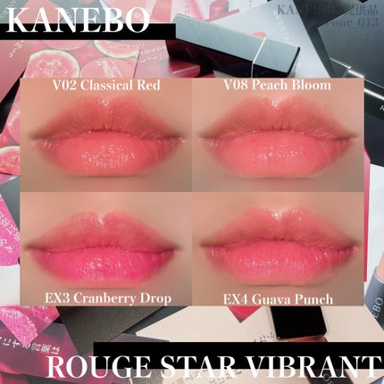 ルージュスターヴァイブラント/KANEBO/口紅を使ったクチコミ(5枚目)