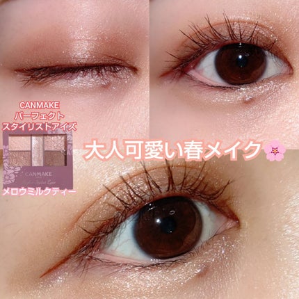パーフェクトスタイリストアイズ/キャンメイク/アイシャドウパレットを使ったクチコミ(1枚目)