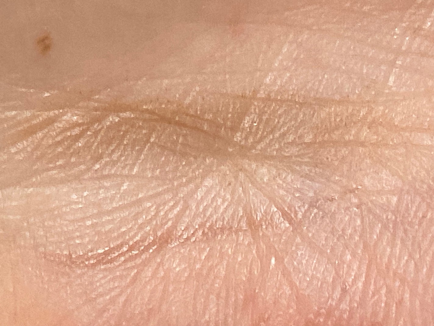 ロングラスティングアイブロウ/excel/リキッドアイブロウを使ったクチコミ(9枚目)