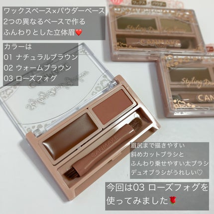 スタイリングデュアルアイブロウ/キャンメイク/アイブロウを使ったクチコミ(2枚目)