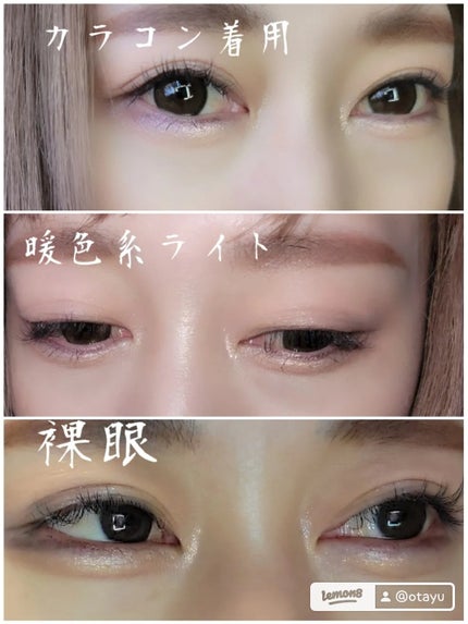 ジェミネイトアイズ N/LUNASOL/アイシャドウパレットを使ったクチコミ(4枚目)