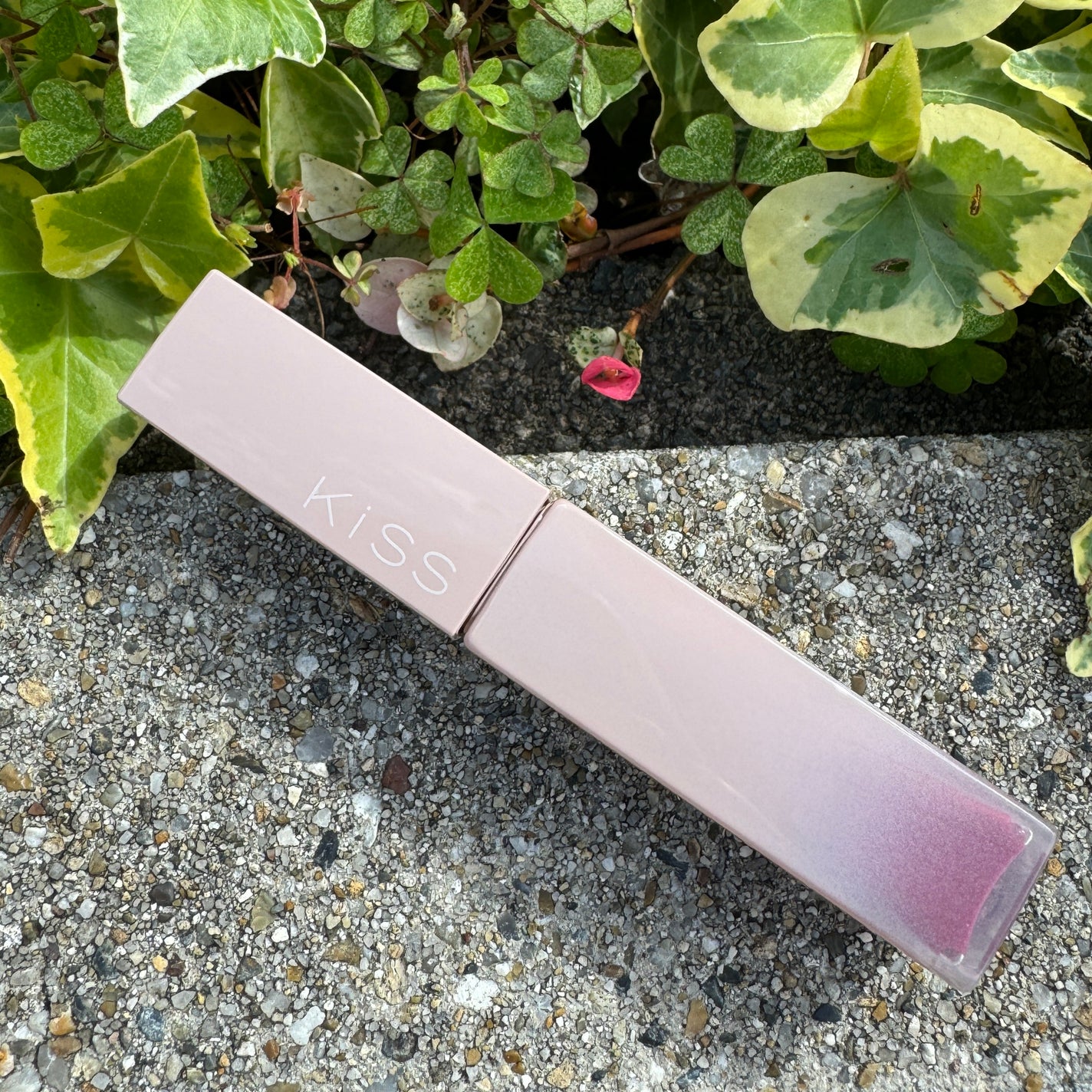 リップアーマー/KiSS/口紅を使ったクチコミ(2枚目)