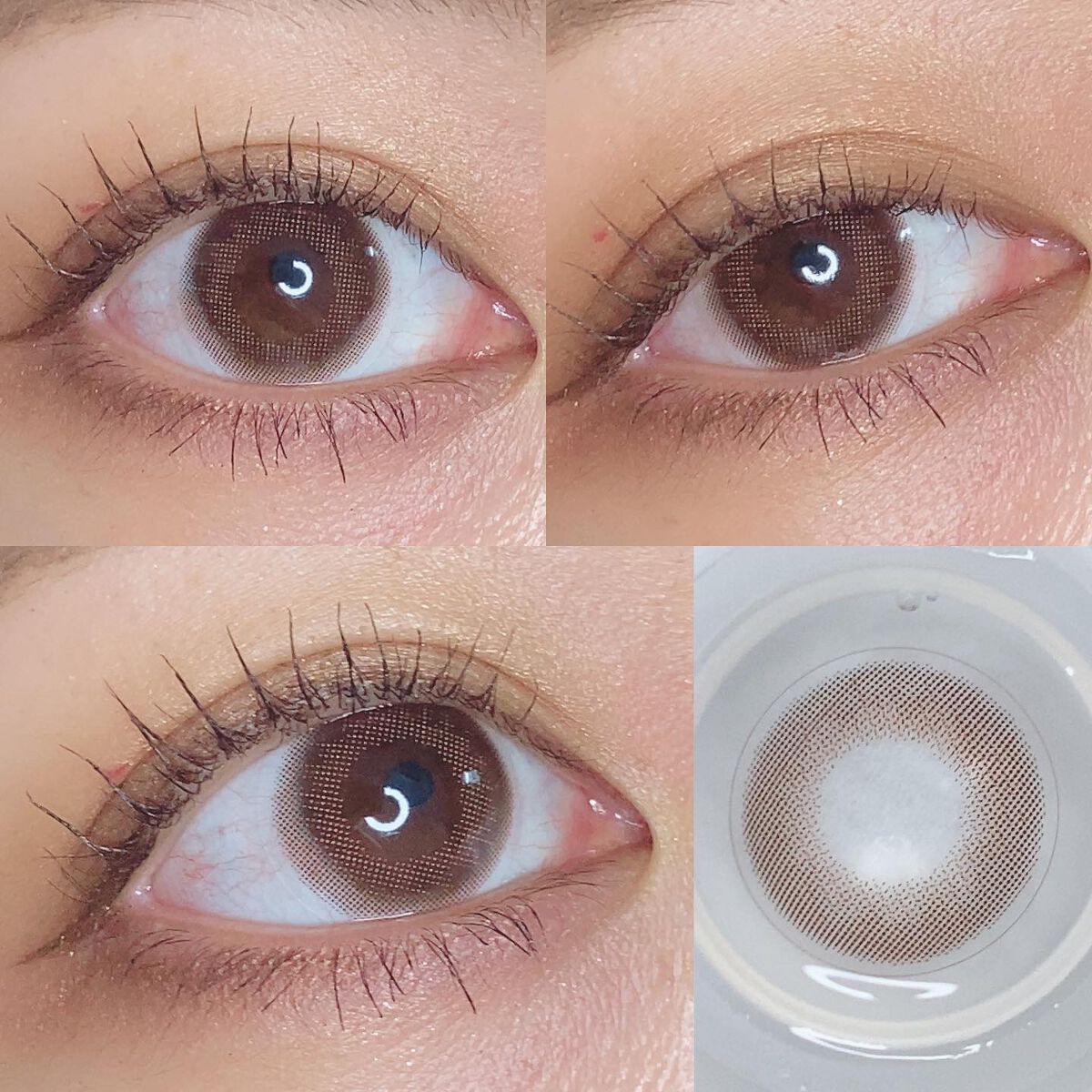 TOPARDS 1day/TOPARDS/ワンデー(1DAY)カラコンを使ったクチコミ(6枚目)