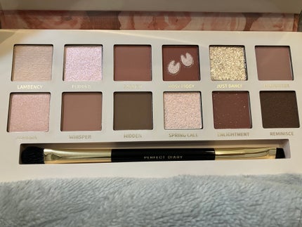 エクスプローラ12色 動物アイシャドウパレット/PERFECT DIARY/アイシャドウパレットを使ったクチコミ(2枚目)