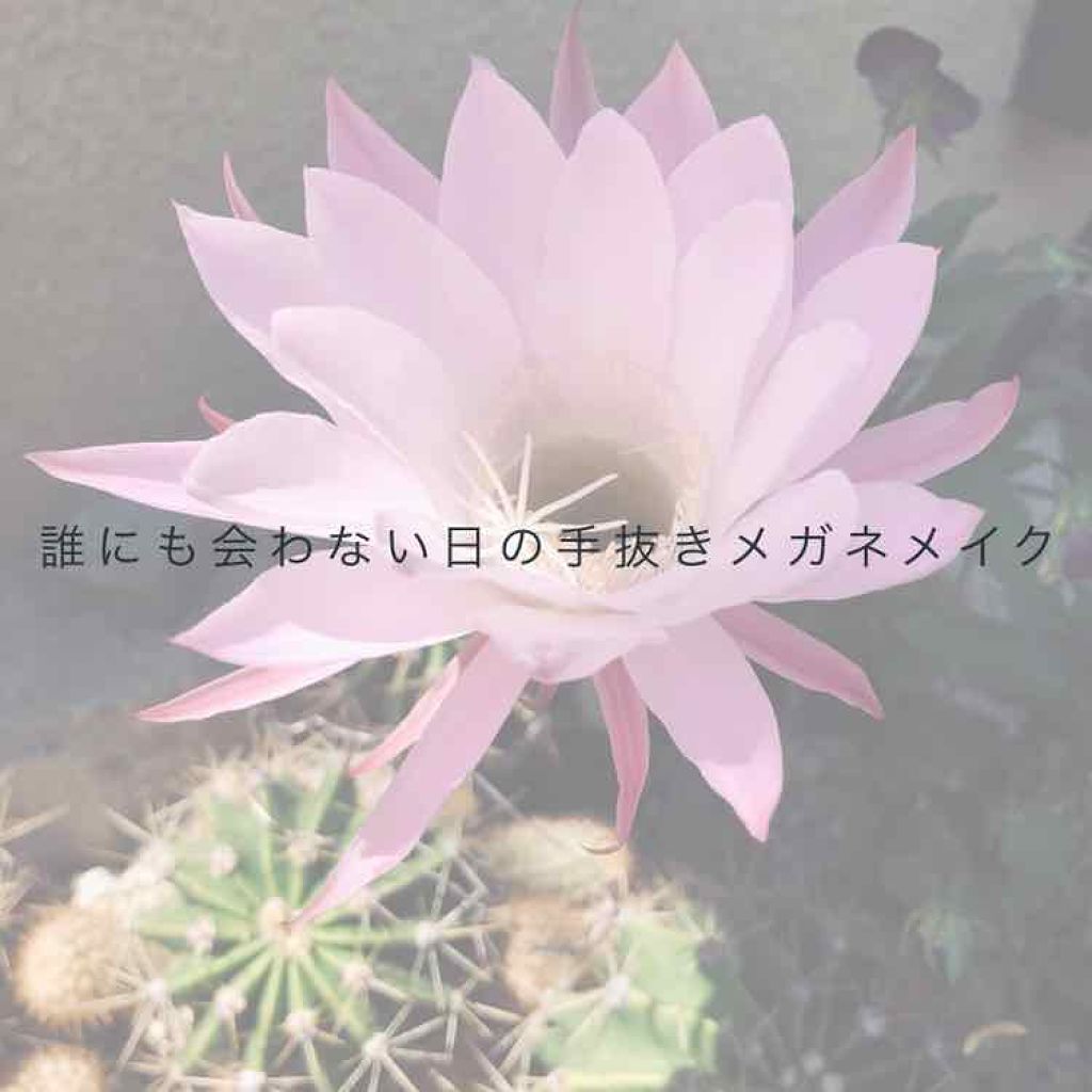 スキンケアBBクリーム(モイスト)/フレッシェル/BBクリームを使ったクチコミ（1枚目）