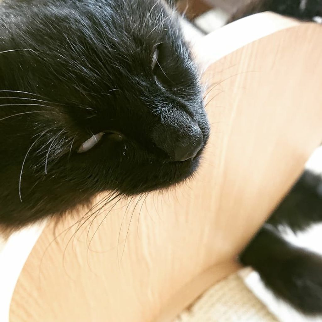 メルティクリームリップ/メンソレータム/リップクリームを使ったクチコミ（2枚目）