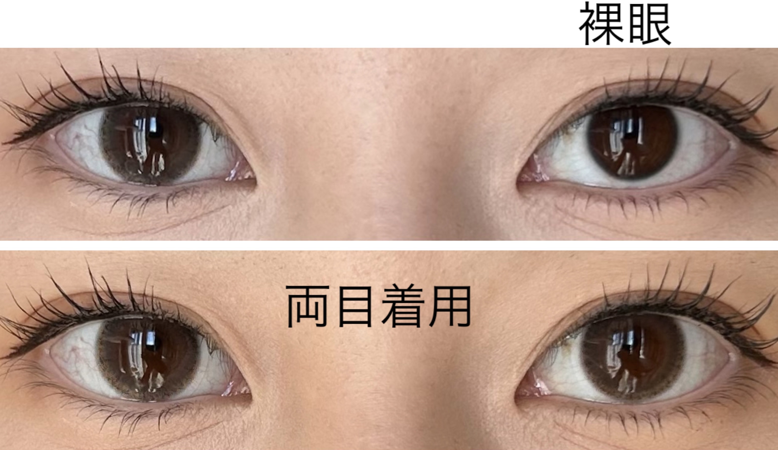 AND MEE 1day シフォン/AngelColor/ワンデー（１DAY）カラコンを使ったクチコミ（2枚目）