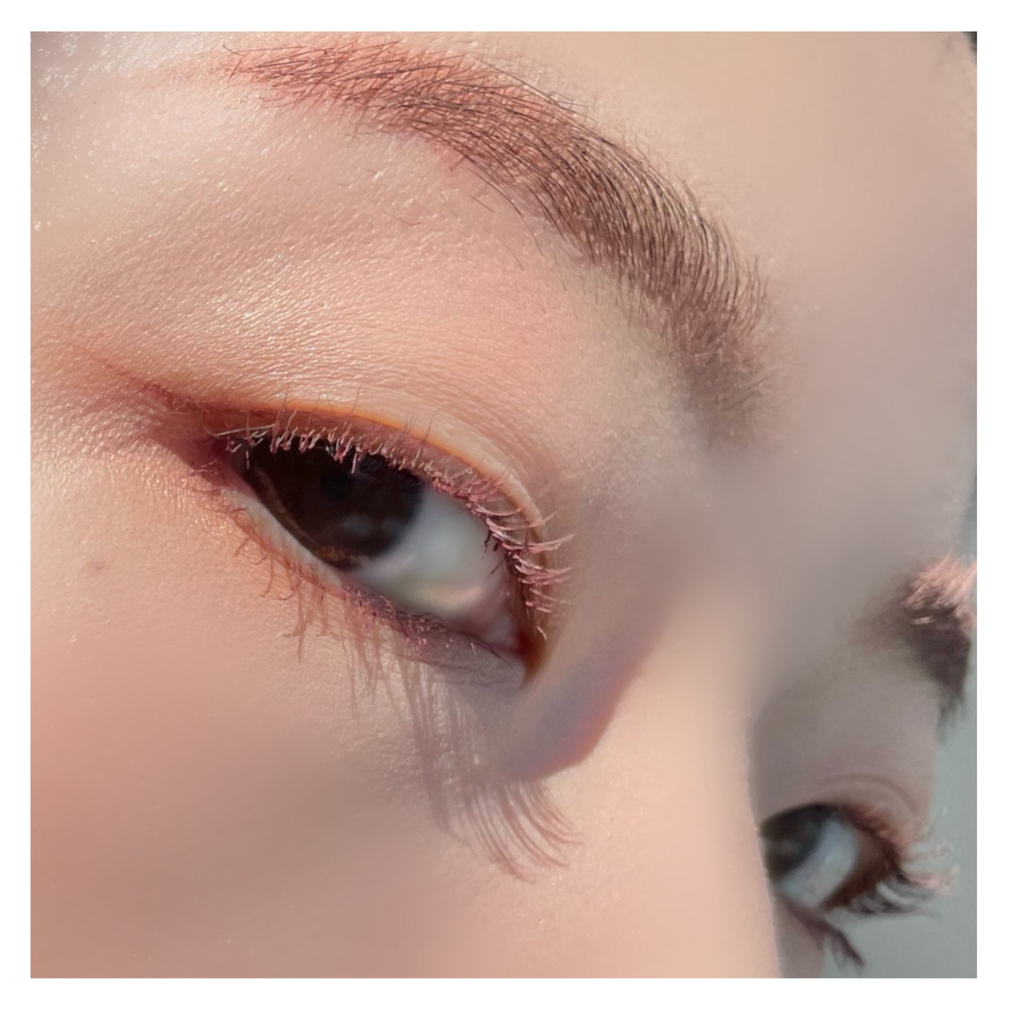 シャドーカスタマイズ/MAJOLICA MAJORCA/単色アイシャドウを使ったクチコミ(6枚目)