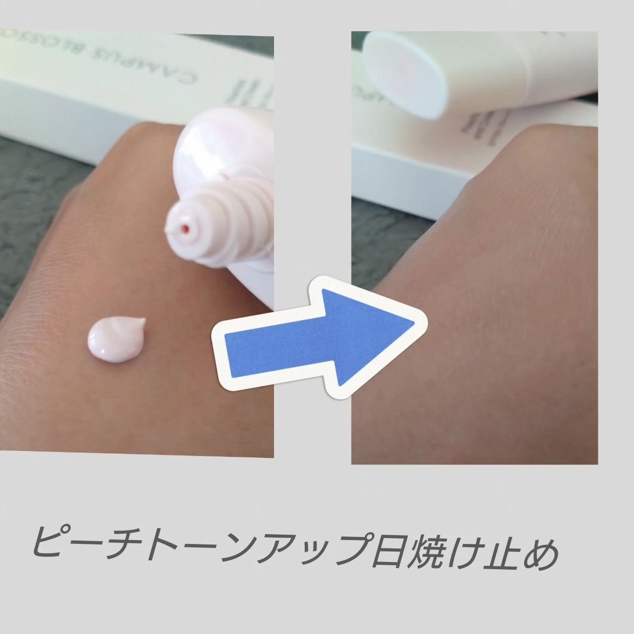 ＳＣ スキンパッド/CAMPUS BLOSSOM/トナーパッドを使ったクチコミ（2枚目）