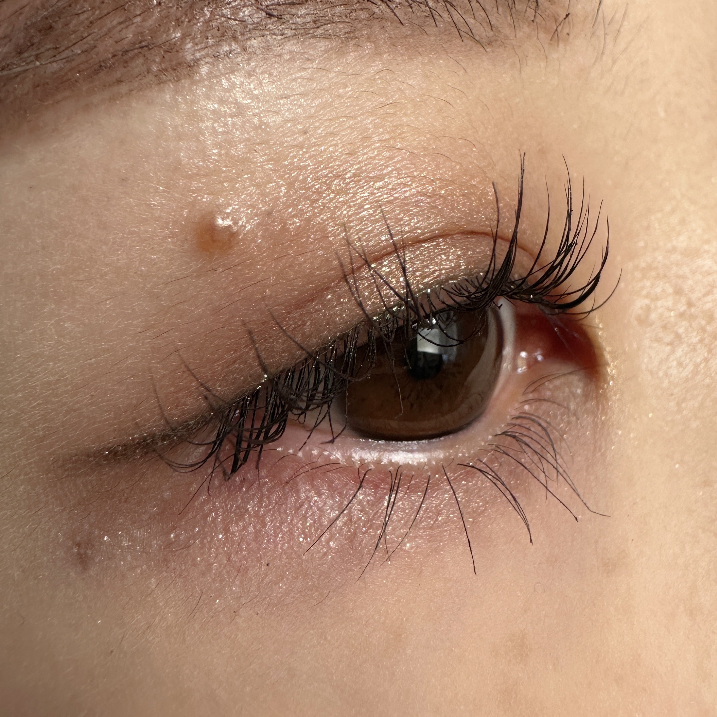 パーフェクトエクステンション マスカラ for カール/D-UP/マスカラを使ったクチコミ（2枚目）