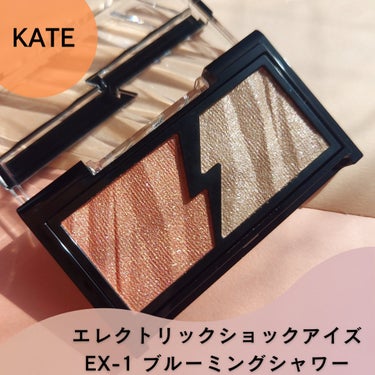 エレクトリックショックアイズ /KATE/アイシャドウパレットを使ったクチコミ（1枚目）