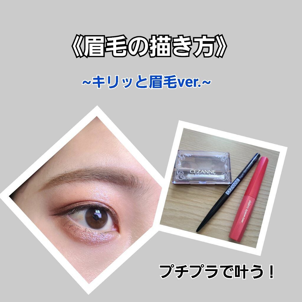 ノーズ&アイブロウパウダー/CEZANNE/パウダーアイブロウを使ったクチコミ(1枚目)