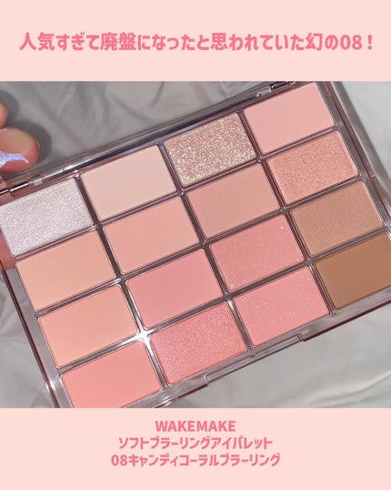 ソフトブラーリングアイパレット/wakemake/アイシャドウパレットを使ったクチコミ(2枚目)