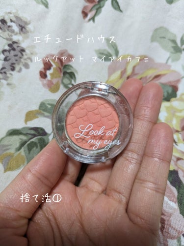 
ETUDE
ルックアット マイアイ カフェ
OR204生産終了

単純に、妹から貰ったけど色味が合わなかった💦そして、色味がはっきりしていて使いづらかった💦

私＝ブルベ夏
妹＝イエベ春

妹の方が使