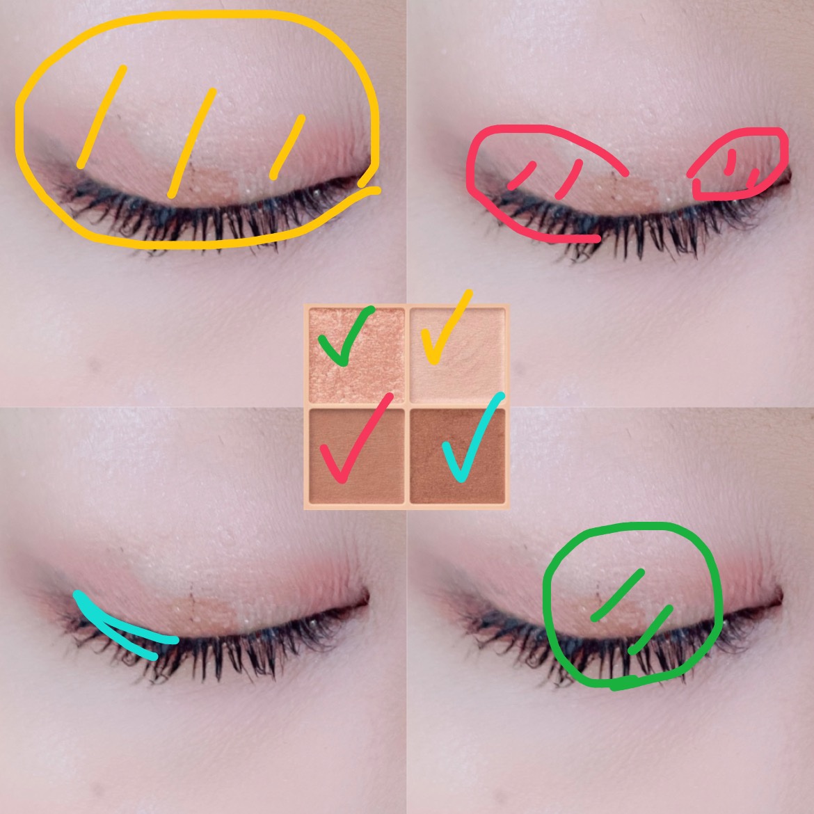 ベージュトーンアイシャドウ/CEZANNE/アイシャドウパレットを使ったクチコミ（2枚目）