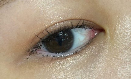 THE アイパレR/b idol/アイシャドウパレットを使ったクチコミ(4枚目)