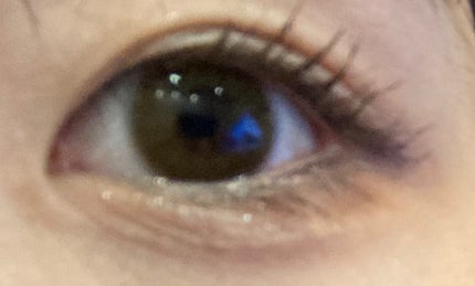 FLANMY 1day/FLANMY/ワンデー(1DAY)カラコンを使ったクチコミ(1枚目)