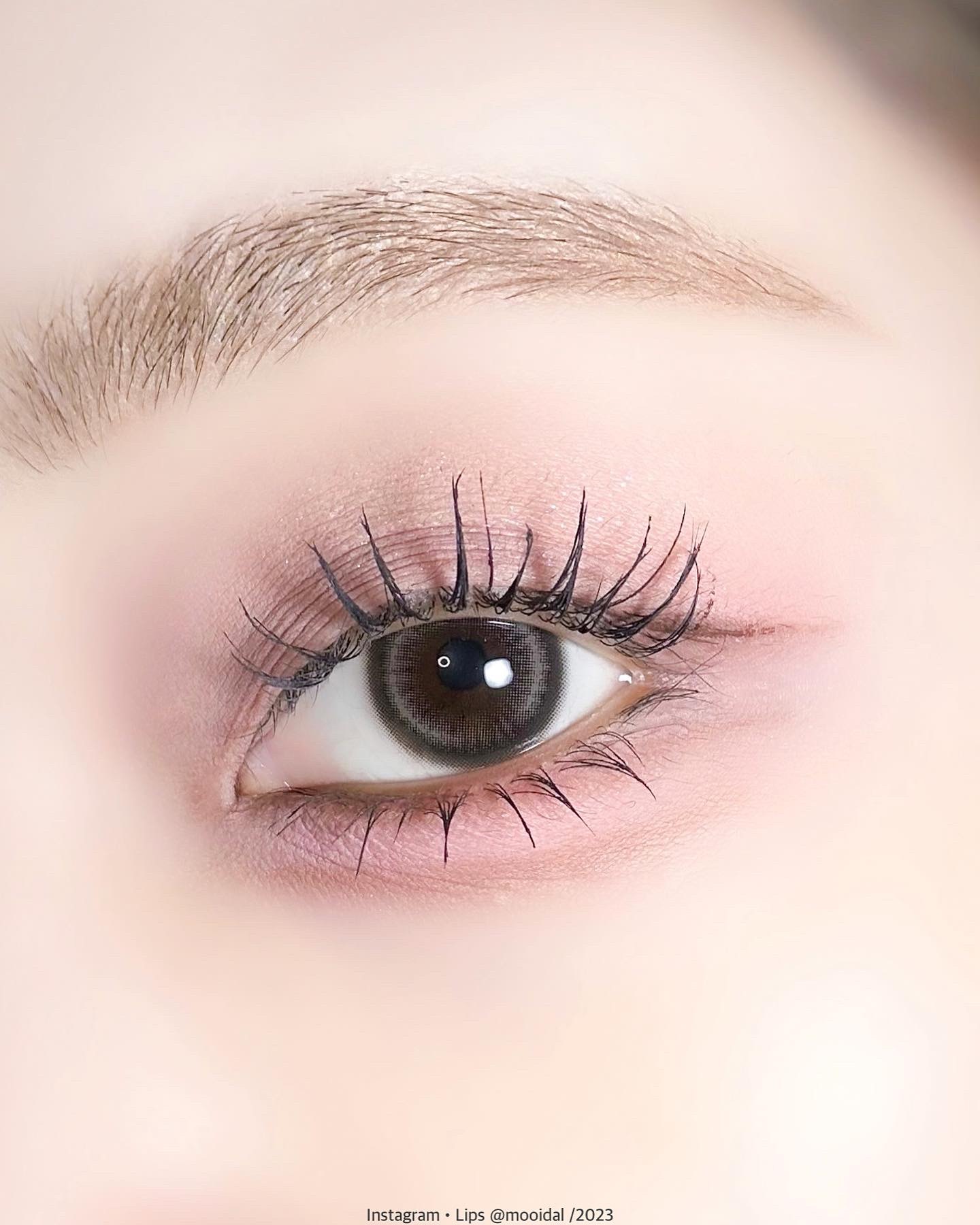 Lily Daze/chuu LENS/ワンデー（１DAY）カラコンを使ったクチコミ（3枚目）