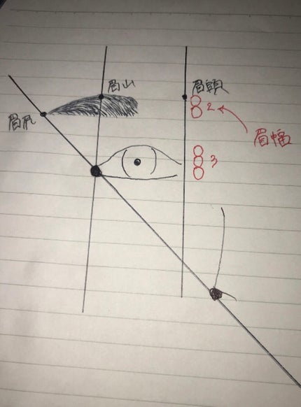 yn614✨毎日投稿 on LIPS 「誰でも垢抜け眉になれる解説投稿です!この比や濃淡を意識して書け..」(9枚目)