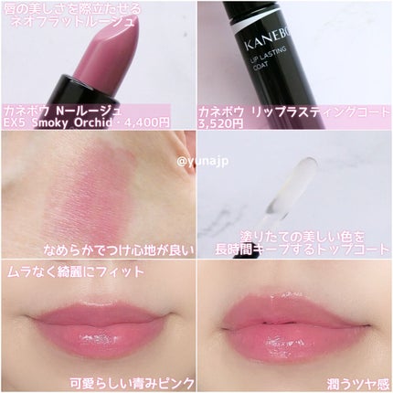 ティントリップコート/KANEBO/リップグロスを使ったクチコミ(3枚目)