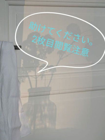 ハトムギ化粧水(ナチュリエ スキンコンディショナー R )/ナチュリエ/化粧水を使ったクチコミ(1枚目)