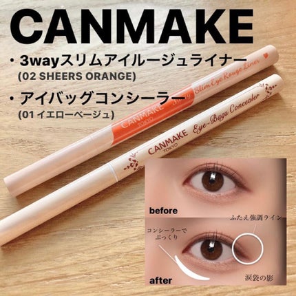 3wayスリムアイルージュライナー/キャンメイク/リキッドアイライナーを使ったクチコミ(1枚目)