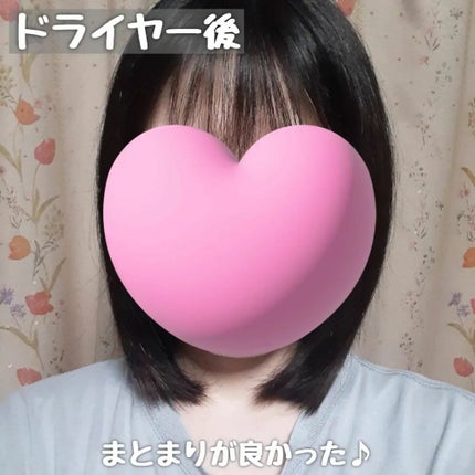 リフレッシュモーメントパフュームシャンプー/トリートメント Jeju Camellia/Free Moment /市販シャンプーを使ったクチコミ(5枚目)