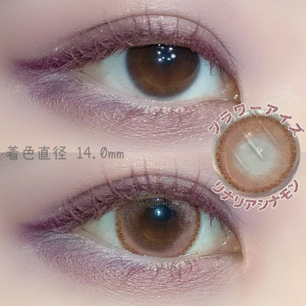フラワーアイズ ワンデー/株式会社ビューフロンティア/ワンデー(1DAY)カラコンを使ったクチコミ(1枚目)