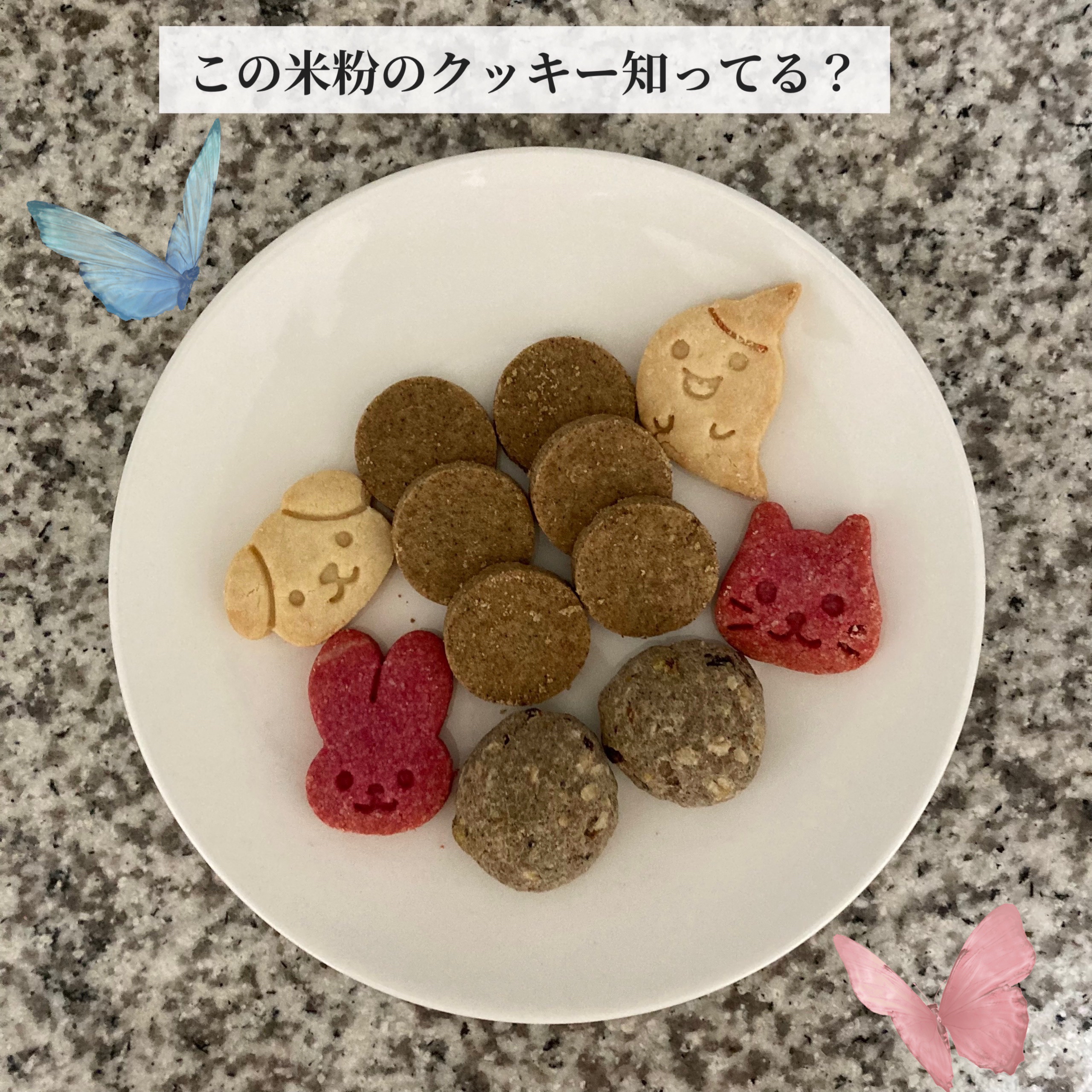 米粉クッキー/My Dish/バランス栄養食を使ったクチコミ（1枚目）