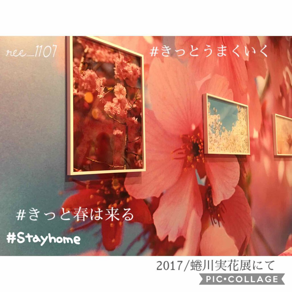 プランパーティントスティック/リップデコ/リップティントを使ったクチコミ（3枚目）