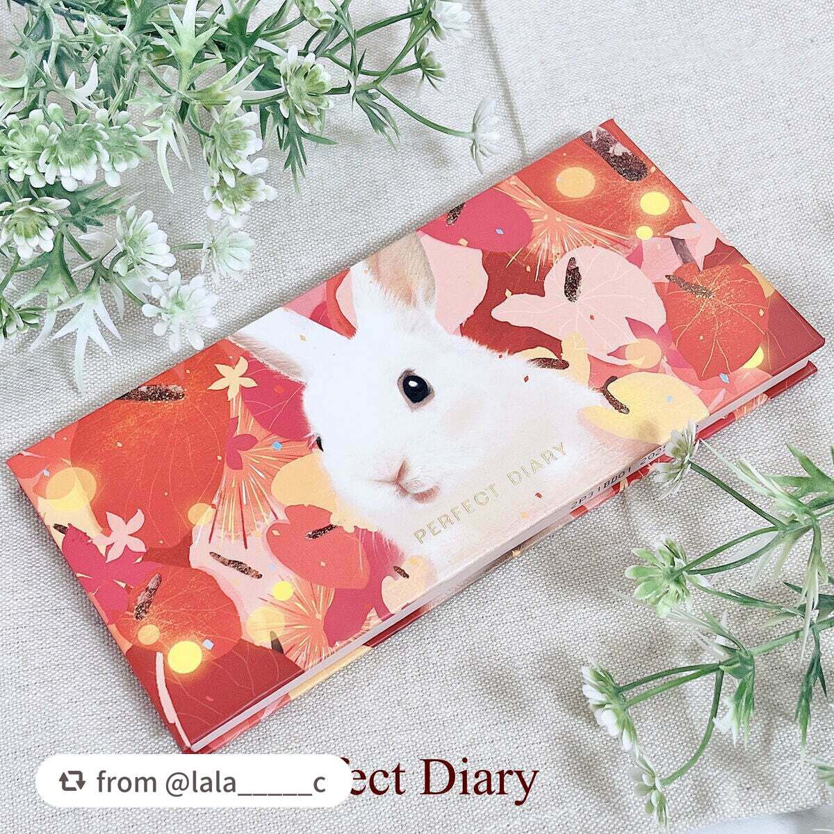 エクスプローラ12色 動物アイシャドウパレット/PERFECT DIARY/アイシャドウパレットを使ったクチコミ(1枚目)