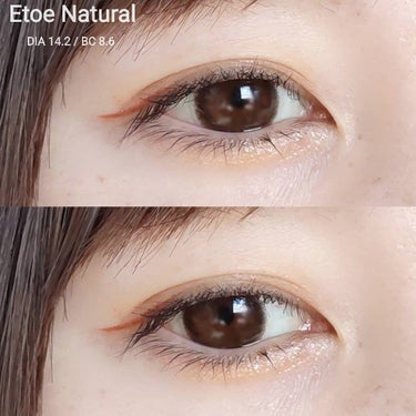 2week Etoē/Etoe By Twinkle Eyes/２週間（２WEEKS）カラコンを使ったクチコミ（1枚目）