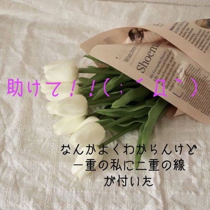 ã䜿ã£ãã¯ãã³ãïŒ1æç®ïŒ