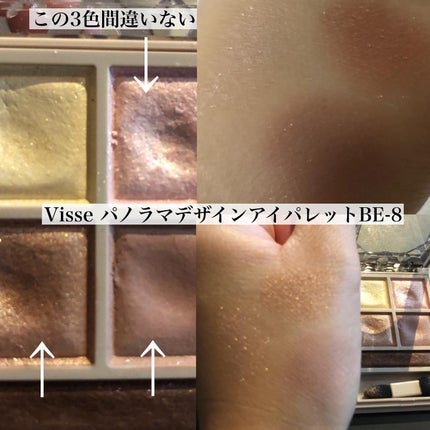 パノラマデザイン アイパレット/Visée/アイシャドウパレットを使ったクチコミ(5枚目)