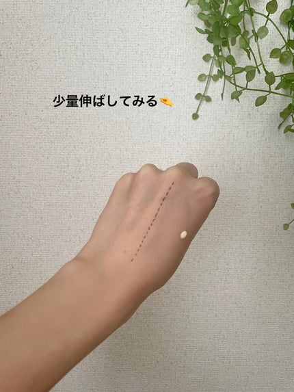 ウォンジョンヨ トーンアップベース/Wonjungyo/化粧下地を使ったクチコミ(2枚目)
