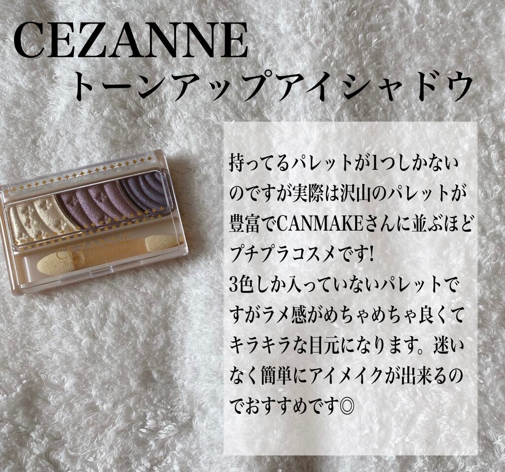 スキニーリッチシャドウ/excel/アイシャドウパレットを使ったクチコミ(5枚目)