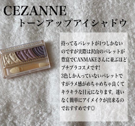 スキニーリッチシャドウ/excel/アイシャドウパレットを使ったクチコミ(5枚目)
