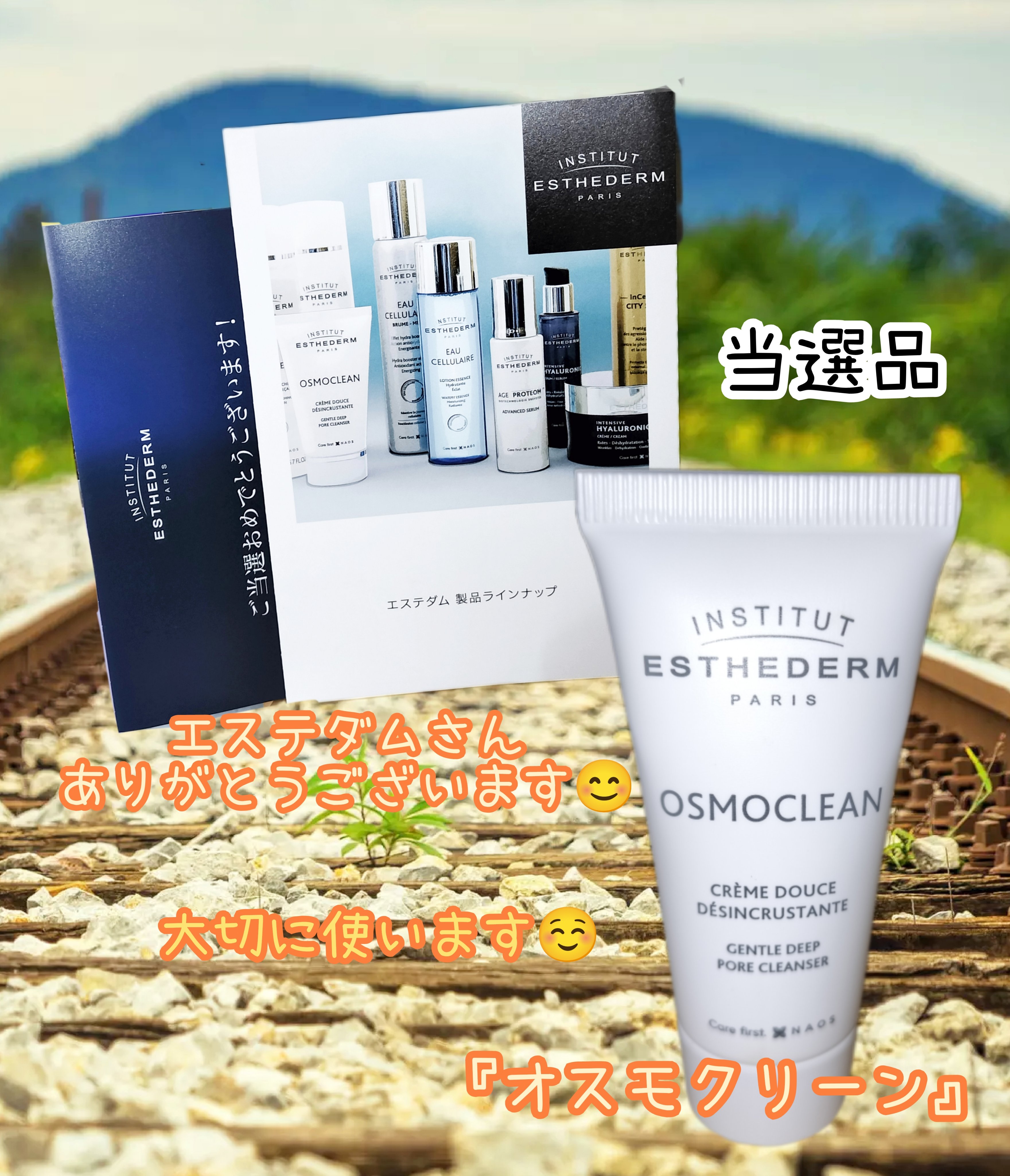 エステダム オスモクリーン 72g エステダム オスモクリーン 72g【店販用】の卸・通販