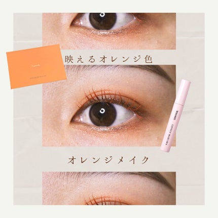 アイカラーパレット/heme/アイシャドウパレットを使ったクチコミ(1枚目)